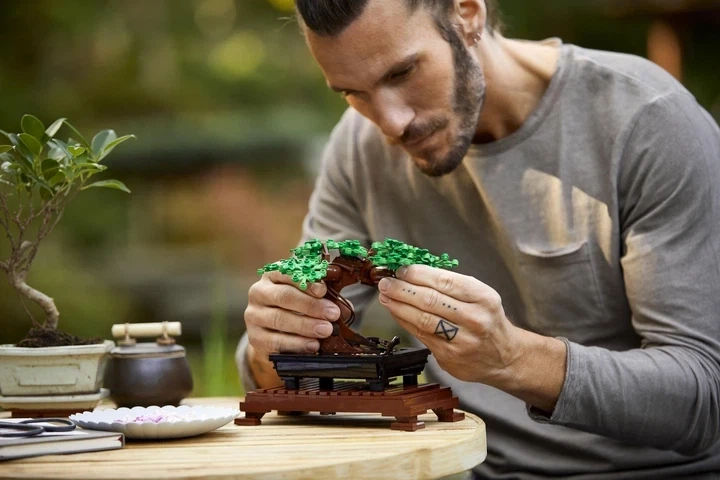 Конструктор 3D Botanicals Дерево Бонсай 878 деталей - изображение 3