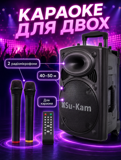 Портативная акустическая система с Bluetooth и FM-радио для караоке с 2 микрофонами и аккумулятором на 8-10 часов - изображение 2