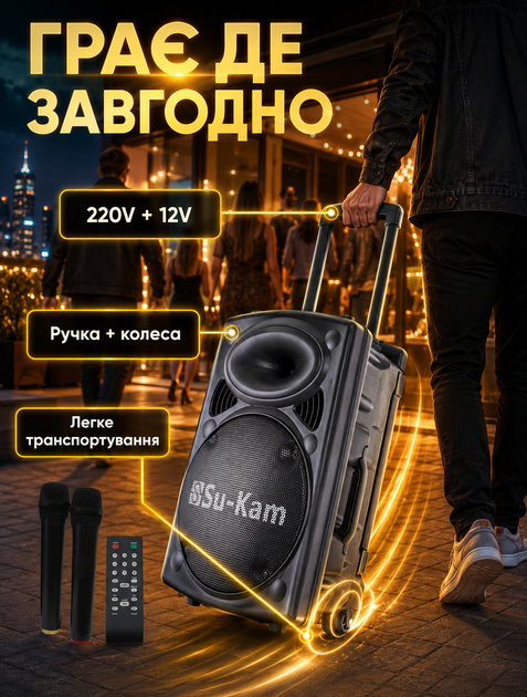 Портативная акустическая система с Bluetooth и FM-радио для караоке с 2 микрофонами и аккумулятором на 8-10 часов - изображение 5