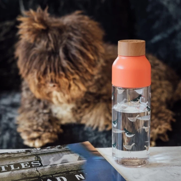 Бутылка для воды Quokka Ice ecozen 720 мл Birds (6989) - изображение 4