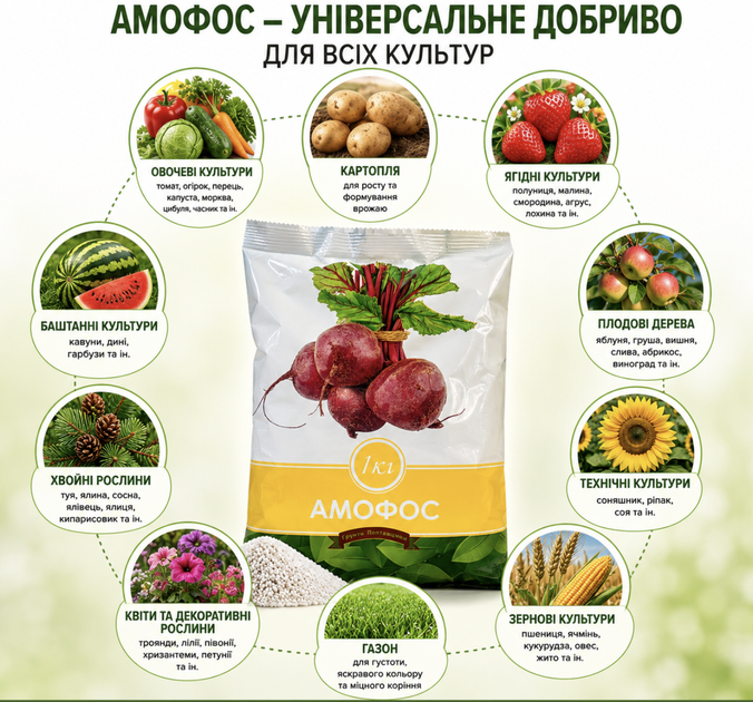 Амофос — концентрированое гранулированное азотно-фосфорное удобрение - изображение 3
