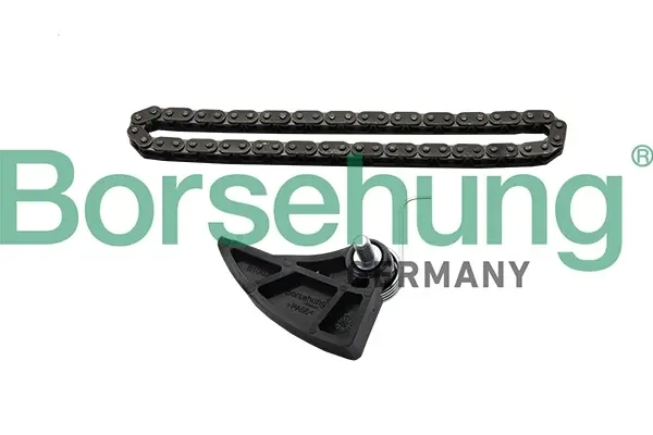 Комплект ланцюга ГРМ VW GOLF V 03-/VW PASSAT B6 05- Borsehung (B19287) - Фото 1 Комплект ланцюга ГРМ VW GOLF V 03-/VW PASSAT B6 05- Borsehung (B19287) - изображение 1