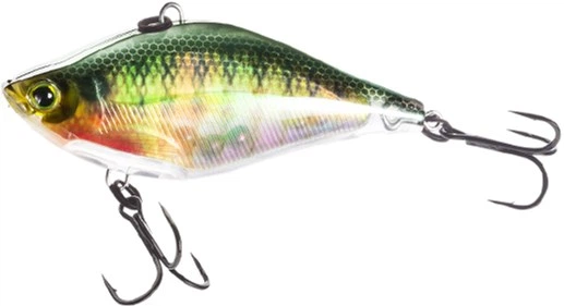 Leurre Yo Zuri Duel 3DR Vibe 60 - 60mm, 14g, Coulant, R1321-RPC