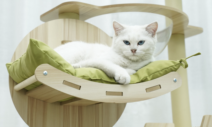 Когтеточка-комплекс для кота (Cat Tree) Volso Y-18 с полочками и домиком устойчивая конструкция 1М - Фото 4 Когтеточка-комплекс для кота (Cat Tree) Volso Y-18 с полочками и домиком устойчивая конструкция 1М - изображение 4