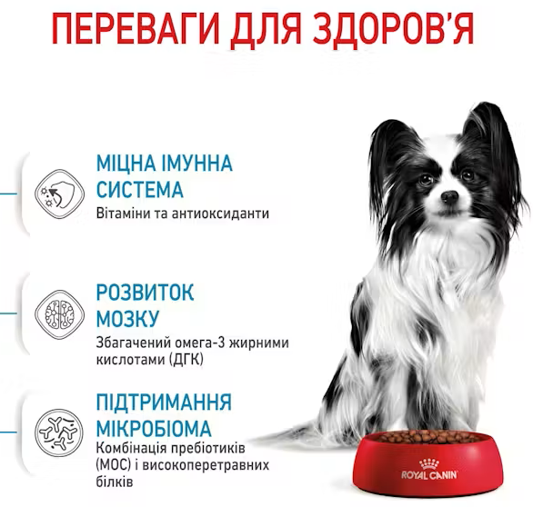 Промо-набор Полнорационный сухой корм для щенков миниатюрных пород Royal Canin SHN X-Small Puppy от 2 до 10 месяцев 400 г + 100 г (1292500793561) - изображение 2