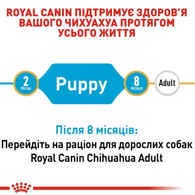 Промо набор Полнорационный сухой корм для щенков породы чихуахуа Royal Canin BHN Chihuahua Puppy сбалансированный до 8 месяцев 400 г + 100 г (1292500722530) - изображение 5