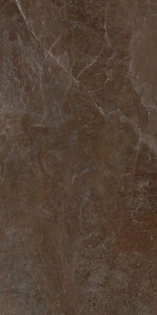 Керамогранітна плитка Allore Group Mariya Brown F P R Mat 60x120 - изображение 2