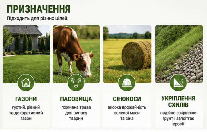 Райграс пастбищный 1 кг — кормовая трава для газона и корма, быстрый рост - изображение 4
