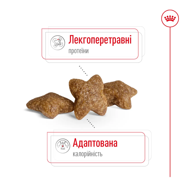 Сухой корм для собак Royal Canin Mini Adult для маленьких пород 4-10 кг от 10 месяцев 8 кг - изображение 10