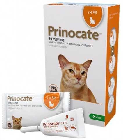 Prinocat (Прінокат) краплі на холку від бліх, кліщів та гельмінтів для котів до 4 кг 1 шт - Фото 1 Prinocat (Прінокат) краплі на холку від бліх, кліщів та гельмінтів для котів до 4 кг 1 шт - изображение 1