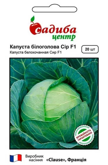 Капуста белокочанная Сир F1, 20 шт., СЦ - Фото 1 Капуста белокочанная Сир F1, 20 шт., СЦ - изображение 1