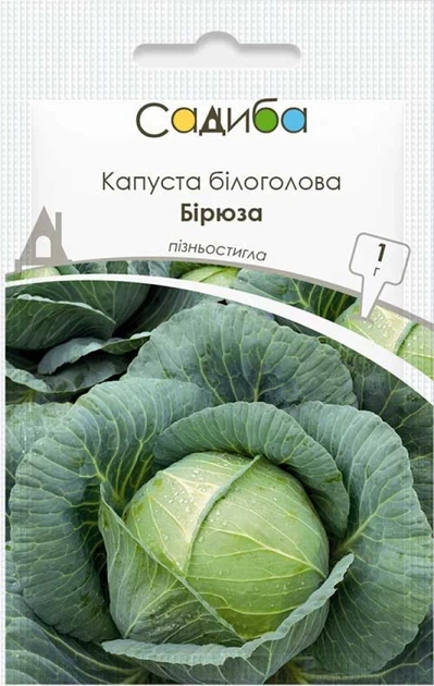 Капуста белокочанная Бирюза, 1 г, Садиба - Фото 1 Капуста белокочанная Бирюза, 1 г, Садиба - изображение 1