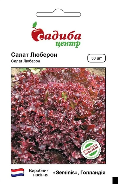 Салат листовой Люберон, 30 шт. - Фото 1 Салат листовой Люберон, 30 шт. - изображение 1