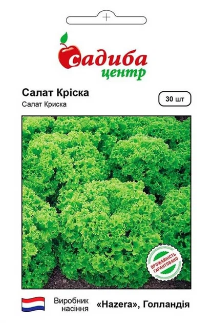 Салат листовой Криска, 30 шт., СЦ - Фото 1 Салат листовой Криска, 30 шт., СЦ - изображение 1