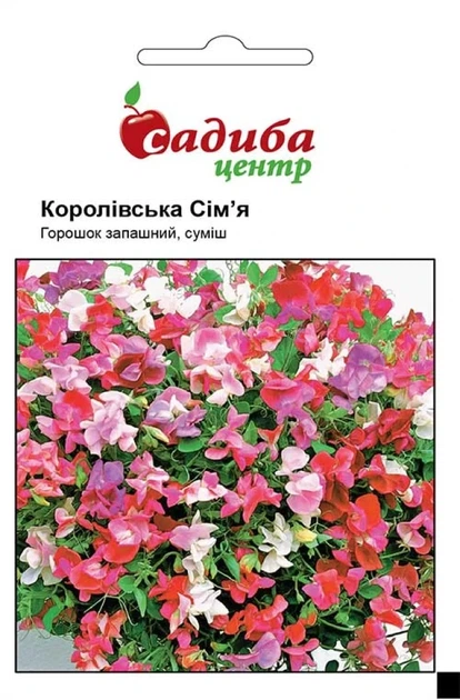 Горошек душистый Королевская семья смесь, 0,5 г, СЦ - Фото 1 Горошек душистый Королевская семья смесь, 0,5 г, СЦ - изображение 1