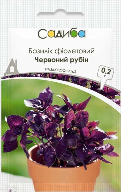 Насіння Базилік фіолетовий Червоний рубін Садиба, 0,2 г - Фото 1 Насіння Базилік фіолетовий Червоний рубін Садиба, 0,2 г - зображення 1