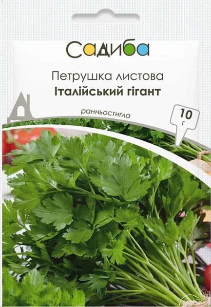 Петрушка листова Італійський гігант 10 г Садиба - Фото 1 Петрушка листова Італійський гігант 10 г Садиба - зображення 1