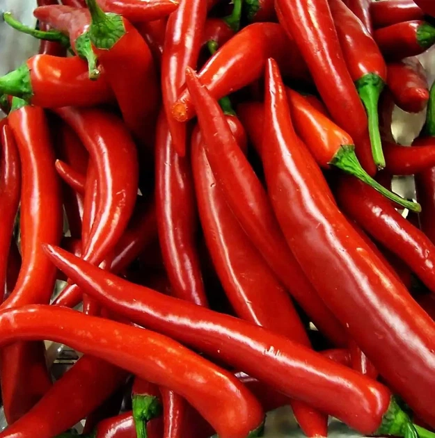 Перець Ангаріка F1 гострий 10 шт - зображення 3
