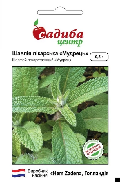 Шалфей лекарственный Мудрец, 0,5 г, СЦ - Фото 1 Шалфей лекарственный Мудрец, 0,5 г, СЦ - изображение 1