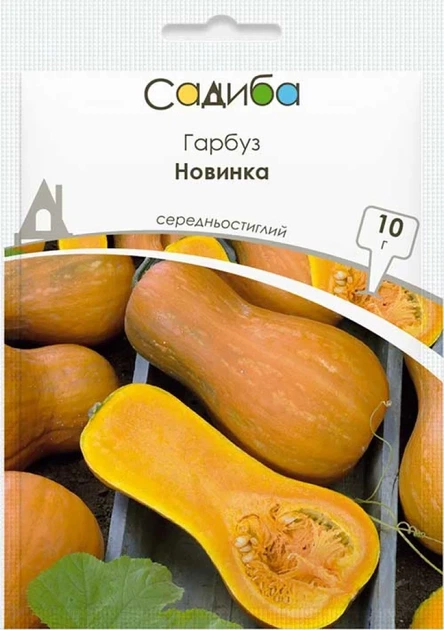 Тыква Новинка, 10 г, Садиба - Фото 1 Тыква Новинка, 10 г, Садиба - изображение 1