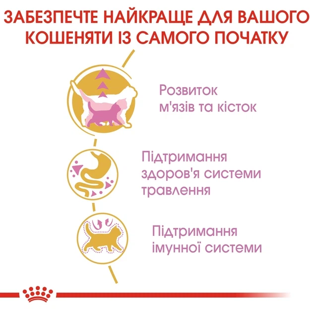 Сухий корм для кошенят Royal Canin British Shorthair Kitten - изображение 3