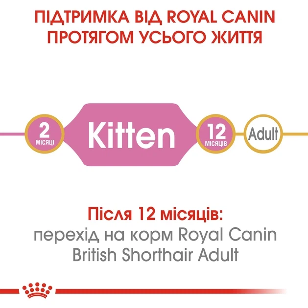 Сухий корм для кошенят Royal Canin British Shorthair Kitten - изображение 4