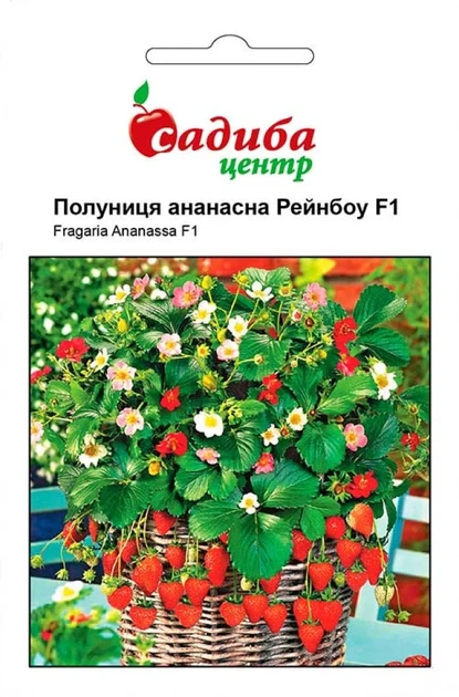 Насіння Полуниця ананасна Рейнбоу F1 Hem Zaden, 10 шт - Фото 1 Насіння Полуниця ананасна Рейнбоу F1 Hem Zaden, 10 шт - зображення 1