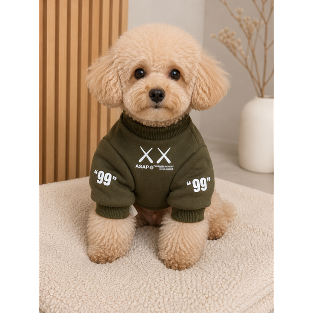 Теплый свитшот ASAP Teddy хаки для собак и кошек S OFF White 000354913 - изображение 7