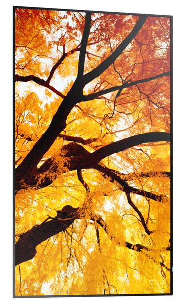Монітор 65" Sharp MultiSync M652 (4550556130998) - зображення 2