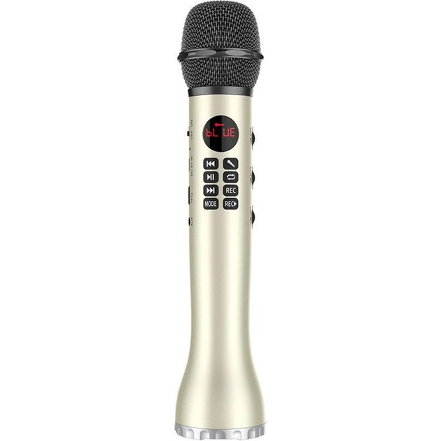 Беспроводной микрофон караоке MicMagic L-598 9 Вт - Фото 6 Беспроводной микрофон караоке MicMagic L-598 9 Вт - изображение 6