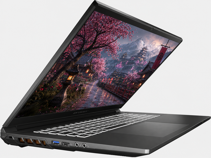 Ігровий ноутбук 17,3" Medion (Lenovo Group) Erazer Scout E20 | IPS (1920x1080) FullHD | 144 Гц | Intel Core i5-13420H | RAM 8 ГБ | SSD 512 ГБ | Nvidia GeForce RTX 4050 | RGB підсвітка клавіатури | Win11 (5387) - Уценка - изображение 3