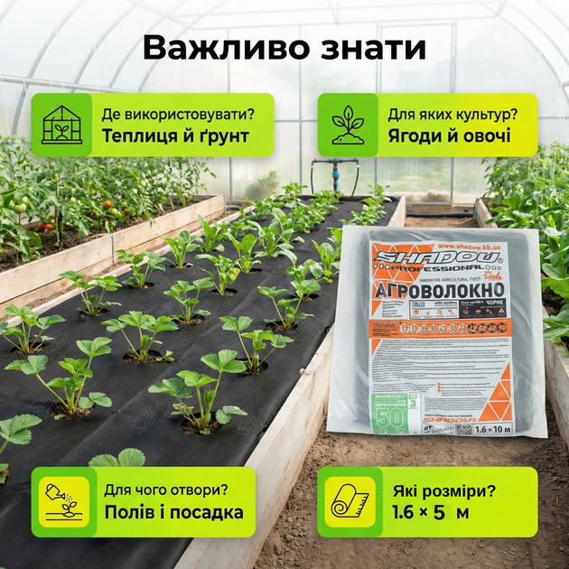 Агроволокно 1.6х5м 50г/м² для клубники овощей спанбонд УФ стабилизация полотно перфорированное плотное чёрное - Фото 4 Агроволокно 1.6х5м 50г/м² для клубники овощей спанбонд УФ стабилизация полотно перфорированное плотное чёрное - изображение 4