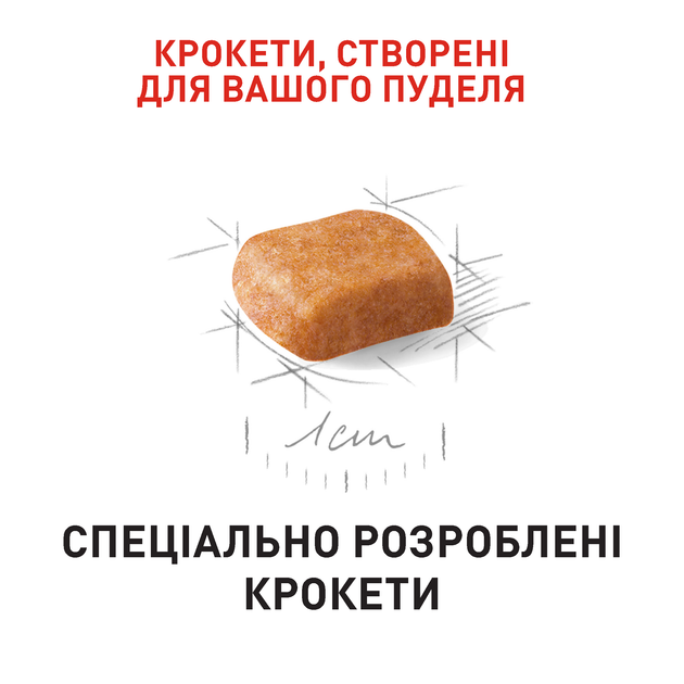 Сухой корм Royal Canin Poodle Puppy – сухой корм для щенков породы Пудель 500 г (R448445) - Фото 5 Сухой корм Royal Canin Poodle Puppy – сухой корм для щенков породы Пудель 500 г (R448445) - изображение 5