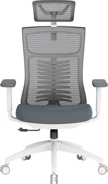 Крісло офісне OfficePro Balance OC550-W-DG-DG - изображение 2