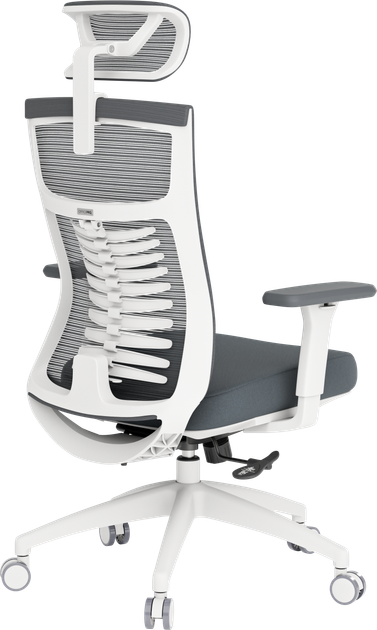 Крісло офісне OfficePro Balance OC550-W-DG-DG - изображение 5