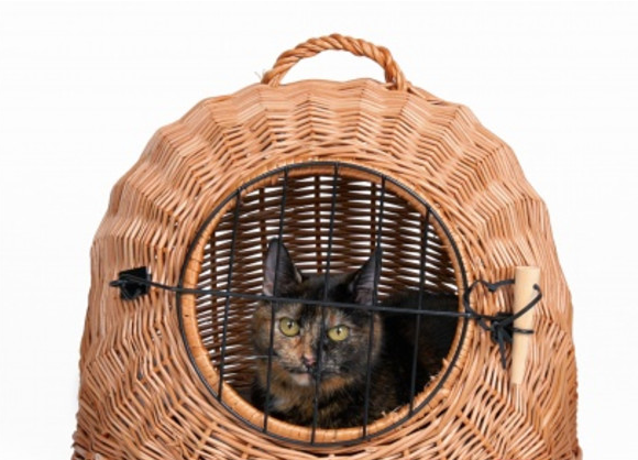 Корзина-переноска для котов Trixie 50х46х36 см (TX-2871) - Фото 3 Корзина-переноска для котов Trixie 50х46х36 см (TX-2871) - изображение 3