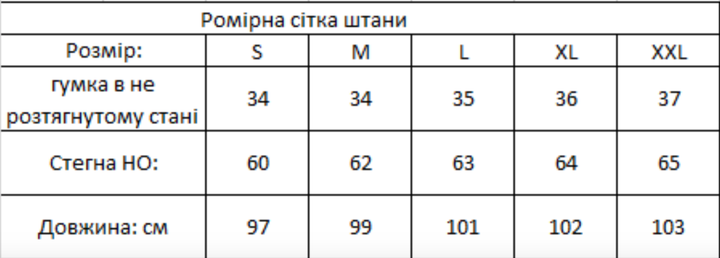 Чоловічі бавовняні спортивні штани NK зелені з лампасом, розмір L - изображение 2