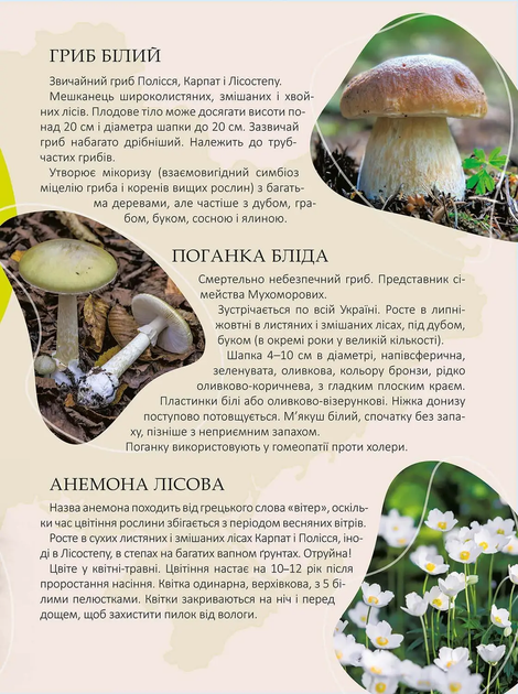 Перлини природи України (9789669890764) - Фото 2 Перлини природи України (9789669890764) - изображение 2