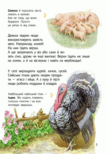 Енциклопедія дошкільника. Тварини - Каспарова Юлія Вадимівна (9786170928344) - Фото 7 Енциклопедія дошкільника. Тварини - Каспарова Юлія Вадимівна (9786170928344) - изображение 7