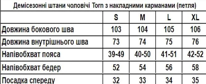 Чоловічі демісезонні спортивні штани карго на трьохнитці з накладними кишенями без флісу Torn L Темно Сірі - зображення 6