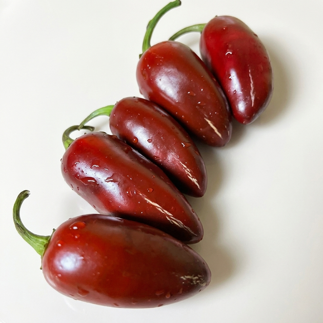 Насіння Перець гострий Халапеньйо Caramel, Capsicum annuum 5 шт/уп - Фото 1 Насіння Перець гострий Халапеньйо Caramel, Capsicum annuum 5 шт/уп - зображення 1