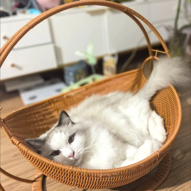 Лежанка-корзина для кота RS:42x48 см - изображение 3