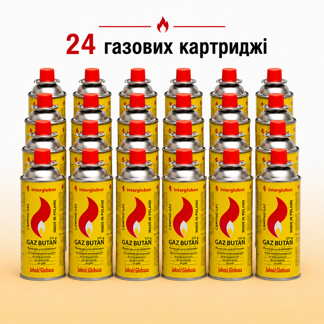Газовий балон універсальний 24 шт. Interglobus бутан 225g - Фото 1 Газовий балон універсальний 24 шт. Interglobus бутан 225g - зображення 1