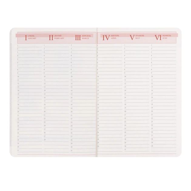 Щоденник діловий Leo Planner Vector A5 датований 2027 твердий коричневий 368 сторінок (252759) - изображение 10