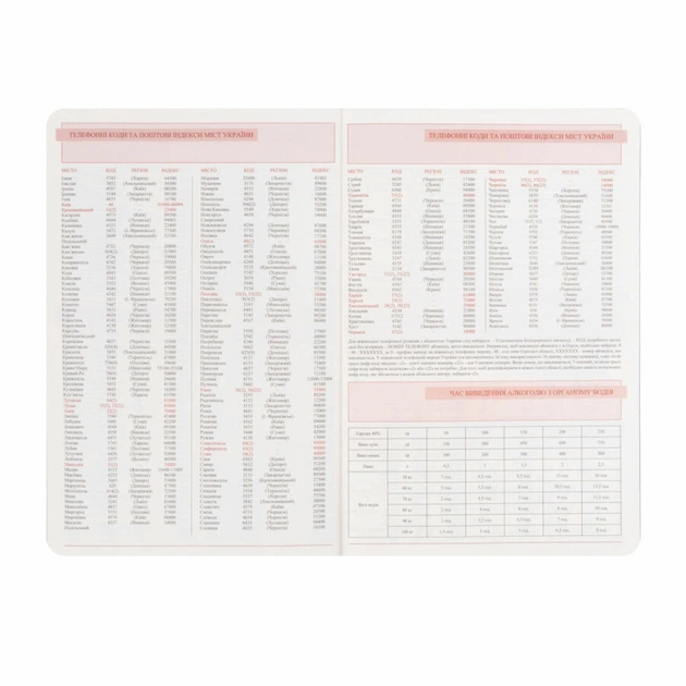 Ежедневник Leo Planner "City" 2027 A5 184 листа с/т синий с золотым срезом + резинка-петля (252752) - изображение 13