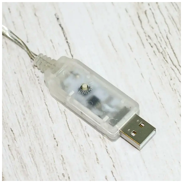 Гирлянда светодиодная 100 LED 10м 2 Вт USB 220V 8 режимов IP65 для улицы силиконовая трубка модель Роса SQ-26303 - изображение 9