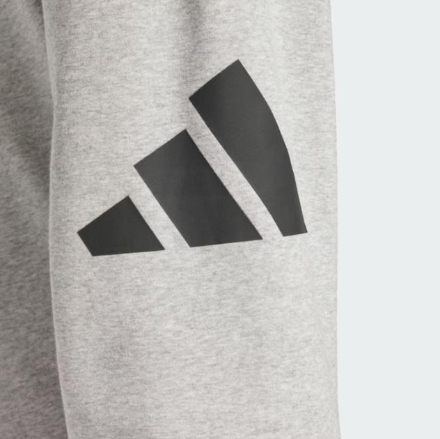Брюки чоловічі ADIDAS Essentials Big Logo French Terry JE8969 m, світло-сірий - Фото 6 Брюки чоловічі ADIDAS Essentials Big Logo French Terry JE8969 m, світло-сірий - изображение 6