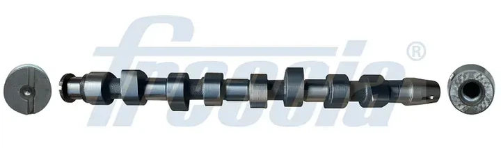 Вал розподільчий FRECCIA CM05-2219 Skoda Octavia, Fabia; Volkswagen Polo, Golf, Bora, Caddy; Seat Ibiza, Cordoba, Leon 038109101E - Фото 1 Вал розподільчий FRECCIA CM05-2219 Skoda Octavia, Fabia; Volkswagen Polo, Golf, Bora, Caddy; Seat Ibiza, Cordoba, Leon 038109101E - зображення 1