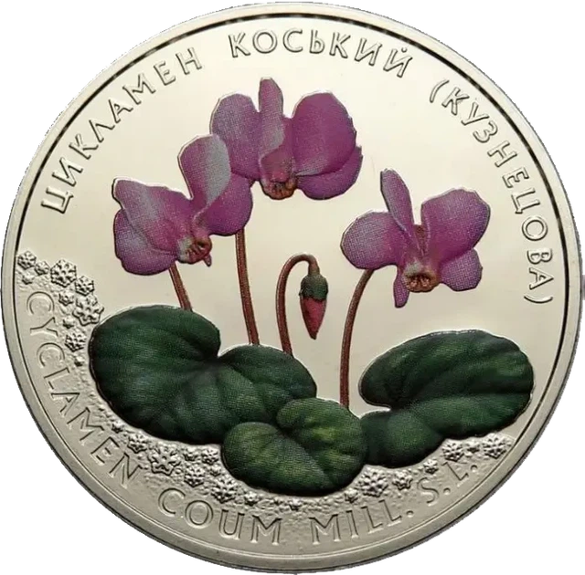 Цикламен коський (Кузнецова) 2 гривні 2014 рік Україна Колекційна монета НБУ (Банківський стан) - Фото 1 Цикламен коський (Кузнецова) 2 гривні 2014 рік Україна Колекційна монета НБУ (Банківський стан) - изображение 1