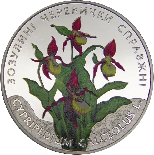 Зозулині черевички справжні 2 гривні 2016 рік Україна Колекційна монета в буклеті НБУ (Банківський стан) - изображение 4